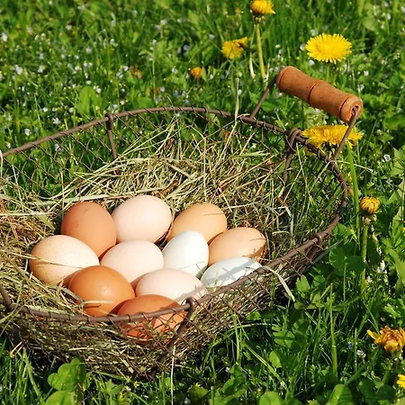 Haus Mitterstang * Bischofswiesen