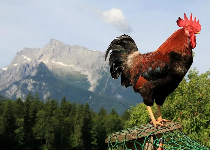 Haus Mitterstang Daire